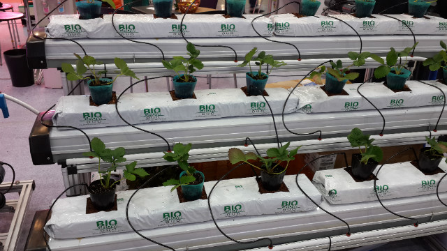 20131205_143405.jpg